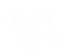 Paarden Leren Lezen